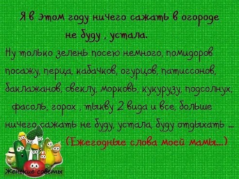 ���� ���� ����� ������� �������������� ������� - 29 ��� 2014 � 21:02