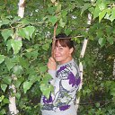 ���� �����, ���������, 55 ��� - ��������� 17 ����� 2014