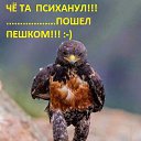 ���� �����, �����, 60 ��� - ��������� 12 ���� 2014 � ������ ������ ��������