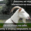 ���� ������, ���� - ��������� 9 ������ 2014 � ������ ������ ��������