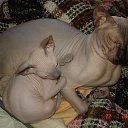 ���� ������, ���-�����, 48 ��� - ��������� 11 ������ 2014 � ������ ������ ��������