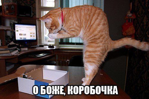 �������������� �� ���� �������� <a href=