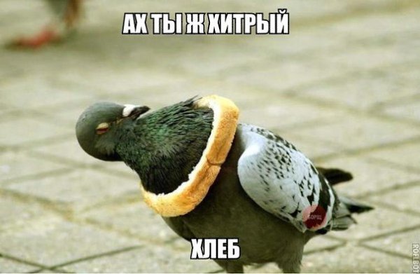 �������������� �� ���� �������� fotostrana.ru/public/232473 ������ ������� )