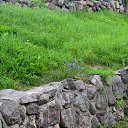 ���� �������)), �����-���������, 59 ��� - ��������� 17 ������� 2014 � ������ ����������