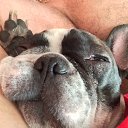 ������) �� ������� ���� ����������