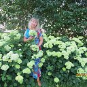 ���� �� ������� ���� ����������