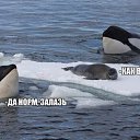 ���� �����, �����������, 47 ��� - ��������� 9 ������� 2014 � ������ ������ ��������