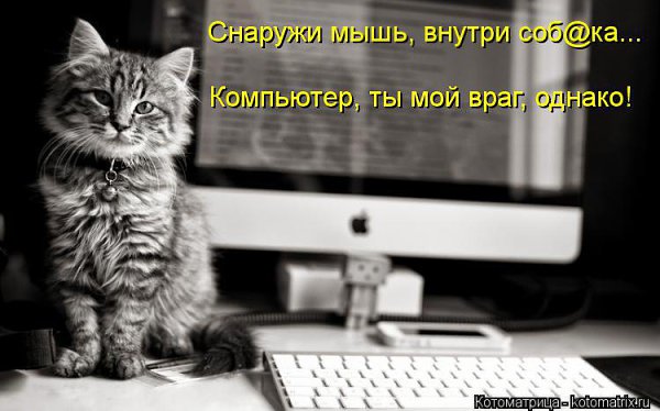 /zev/null - 29 ��� 2014 � 12:59