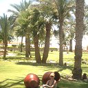 ���� �������, �����-���������, 73 ���� - ��������� 14 ��� 2014 � ������ ���� ����������