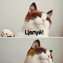 ���� David, ��������� - ��������� 31 ����� 2014 � ������ ������ ��������