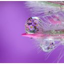 ���� ������, ������ - ��������� 11 ���� 2014 � ������ ������ ��������