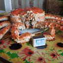 ���� ������, ������, 66 ��� - ��������� 12 ��� 2014 � ������ ��.�������.�