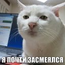 ���� �����, ������, 50 ��� - ��������� 17 ����� 2014 � ������ ���� ����������