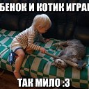 ���� ������, �������, 37 ��� - ��������� 1 ������� 2014 � ������ ���� ����������