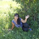 ���� �������, ������� - ��������� 4 ������� 2014 � ������ ���� ����������