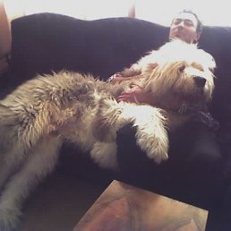 �������, �������, 63 ����