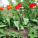 ���� �������, �������������� - ��������� 19 ��� 2014 � ������ ������ ��������