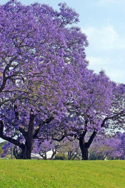 �� ���� ����, ��� ������� �������, � ��� ������ ������ ����. ������ ����, ��� ���������, ������ ...