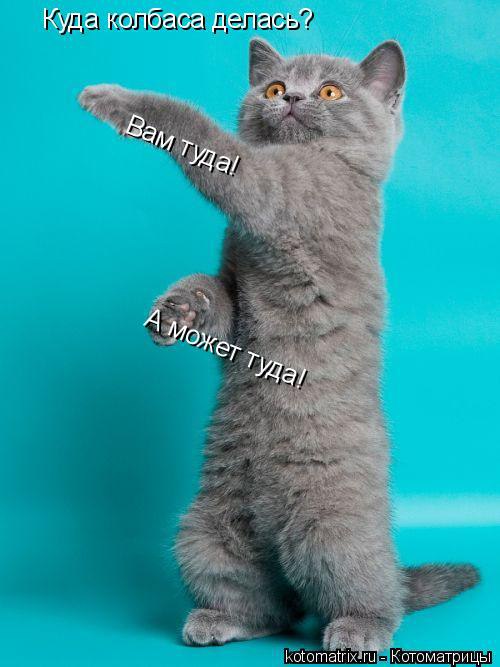 Наши любимцы :3 - 8 августа 2014 в 16:44