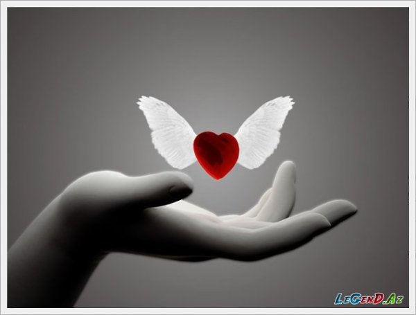 ���� �������, ��� ������� ���� �� ����� ������ � ��� ������� ������ !