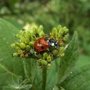 ���� ������, ����, 59 ��� - ��������� 31 ��� 2014 � ������ �����������