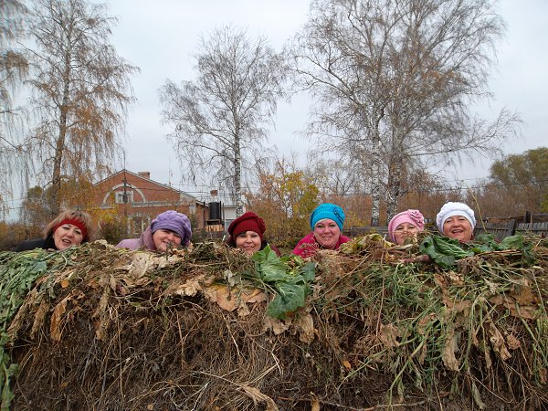 В засаде картинки