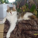 ���� �����, ���������, 58 ��� - ��������� 24 ��� 2014 � ������ ������� �