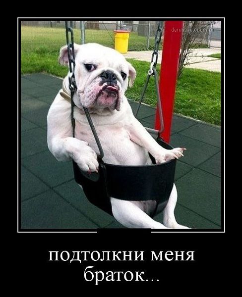�������������� �� ���: fotostrana.ru/public/232203 ;-)