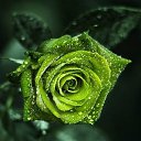 ���� ������, ������, 39 ��� - ��������� 4 ������ 2014 � ������ ������ ��������