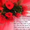 ���� �����, ������, 53 ���� - ��������� 27 ����� 2014 � ������ ������ ��������