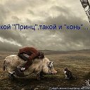 ���� ���, ���� - ��������� 19 ���� 2014 � ������ ������ ��������
