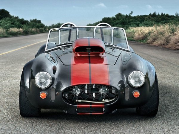 Weineck Cobra c 12,9-  V8. Weineck Cobra      . Ÿ ...