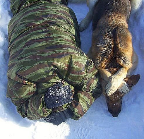 ������ ))))))))))))