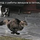 ���� �������, �����������, 62 ���� - ��������� 9 ���� 2014 � ������ �� ������� � ������)))�