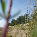 ���� �����, ������� - ��������� 18 ������� 2014 � ������ �17.08.2014�.�