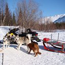 ���� �������, ����������, 62 ���� - ��������� 23 ����� 2014