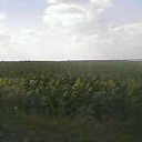 ���� �������, ������, 43 ���� - ��������� 16 ���� 2014 � ������ ���� ����������