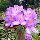  , --, 52  -  18  2014     2014