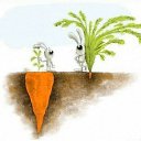 ���� �������, ���� - ��������� 12 ������� 2014 � ������ ������ ��������