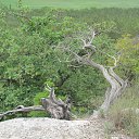 ���� ������, ����� - ��������� 7 ��� 2014 � ������ ���� 2014, ����, ������������