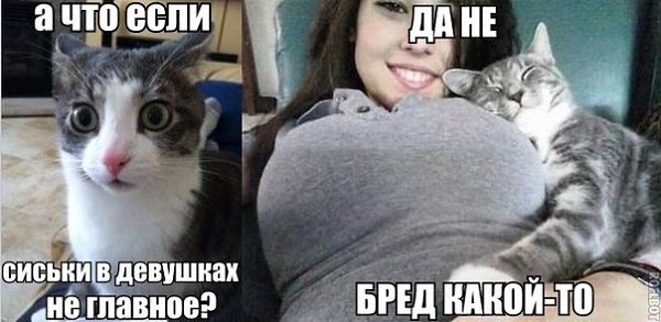    :D - 23  2014  15:11
