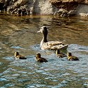 3.07.2014 �� ������� ������� ��������)))�