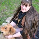 ���� ��������, �������� - ��������� 12 ��� 2014