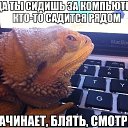 ���� �������, ����, 27 ��� - ��������� 20 ������ 2014 � ������ ������ ��������