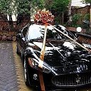 ���� �����, �����-���������, 64 ���� - ��������� 16 ������ 2014 � ������ ������ ��������