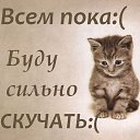 ���� �����, �����-��������� - ��������� 11 ������� 2014 � ������ ������ ��������