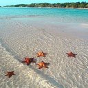 ���� �����, ������ - ��������� 28 ���� 2014 � ������ ������ ��������