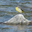 ���� �������, ������� - ��������� 3 ������� 2014 � ������ ���� ����������