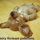 ���� �������, ������ �������� - ��������� 4 ��� 2014 � ������ ���� ����������
