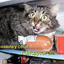 ���� Cshohkolad, ������ - ��������� 8 ���� 2014 � ������ ������ ��������